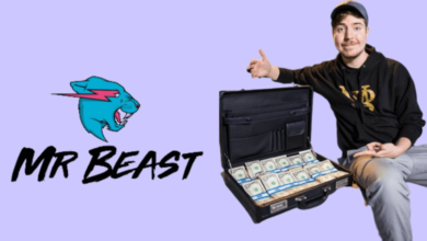 MrBeast 1 Month Income