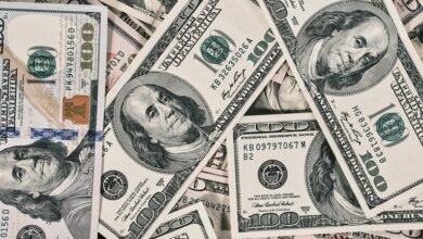 brandon lake s net worth