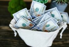 michele morrone s financial success