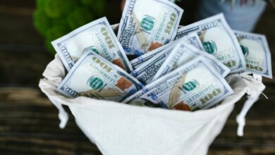 michele morrone s financial success
