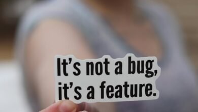 fix ralbel28 2 5 software bug